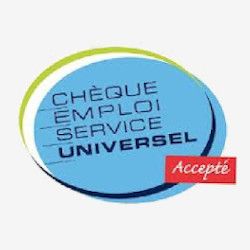 Chèque emploi